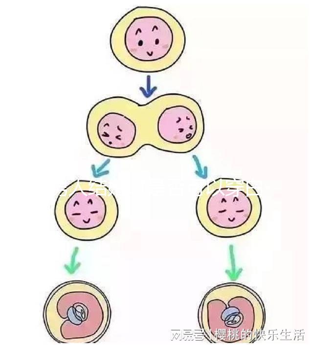 男人結(jié)婚時是否可以穿白色鞋子和白色西裝進行分析,看看對誰不利