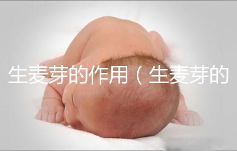 生麥芽的作用(生麥芽的作用與功能主治)