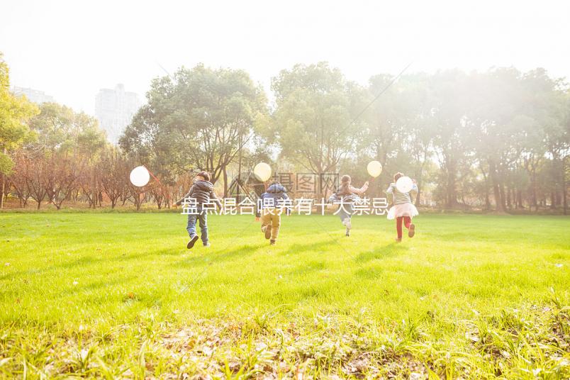 盤點混合喂養有十大禁忌！你能知道一頓母乳和一頓奶粉嗎？