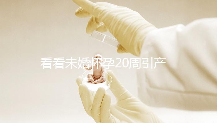 看看未婚懷孕20周引產需要哪些手續和證明,不要再錯過了