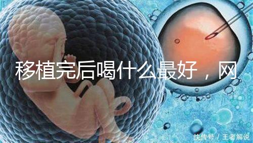 移植完后喝什么最好，網友推薦美味營養做法簡單大補湯