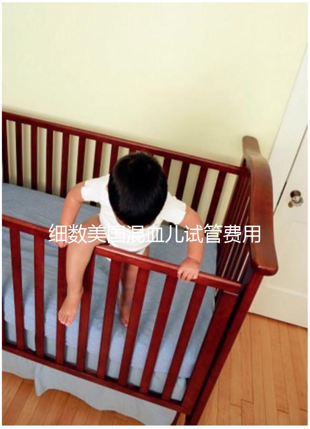 細(xì)數(shù)美國混血兒試管費(fèi)用,供精供卵都不貴