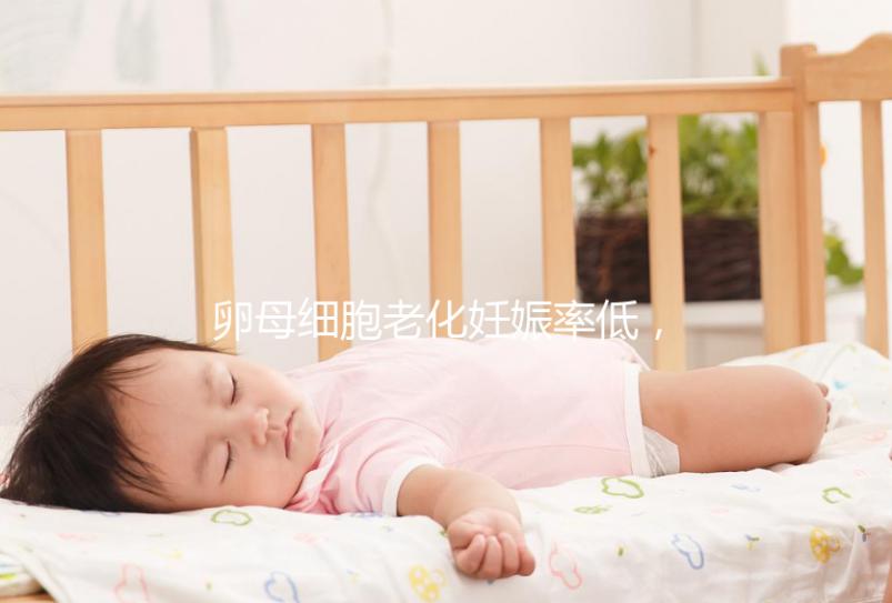 卵母細胞老化妊娠率低，太晚生嬰兒試管也救不了