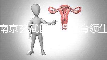 南京玄武區(qū)未婚生育領(lǐng)生育金看條件，社會撫養(yǎng)費交不了多少