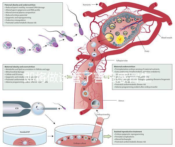 即將做試管了害怕感冒生病，這5招教你提高免疫力