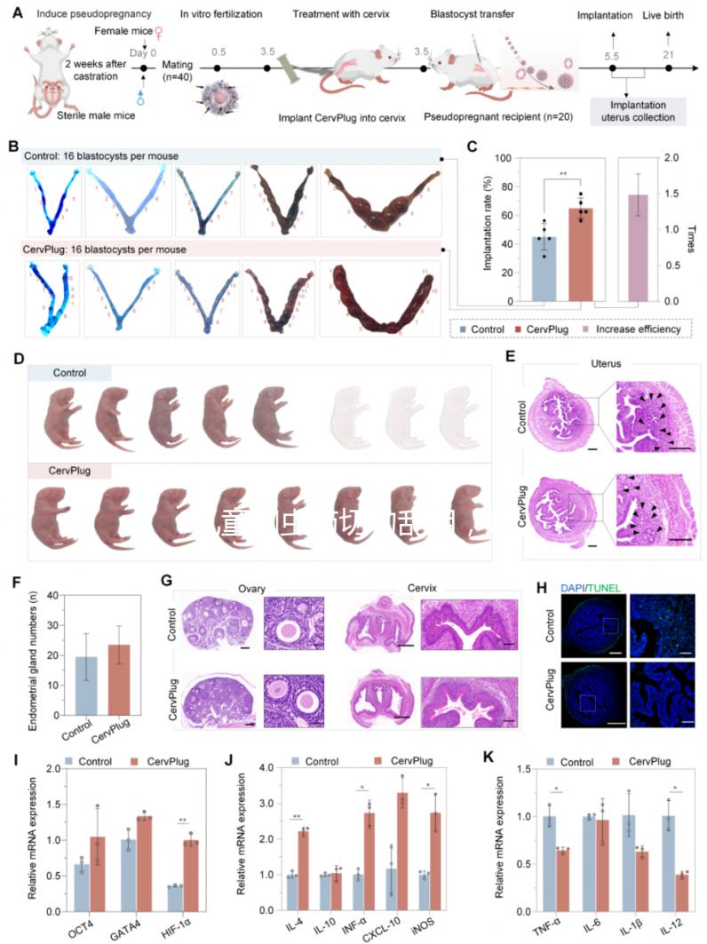 兒童蛔蟲藥切勿亂用，這樣吃才是正確的打開方式