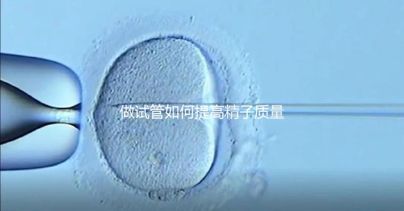 做試管如何提高精子質(zhì)量？五星推薦4個簡單小運動