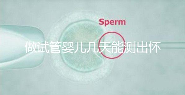 做試管嬰兒幾天能測(cè)出懷孕，3招教你提高試管成功率