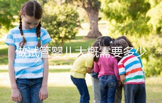 做試管嬰兒大概需要多少錢？