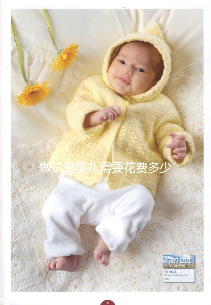 做試管嬰兒需要花費(fèi)多少錢(qián)