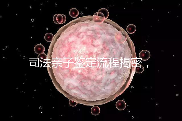 司法親子鑒定流程揭密，附準(zhǔn)備材料請(qǐng)一并參考