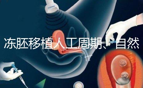凍胚移植人工周期、自然周期怎么選？哪個成功率高？