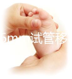 內膜16mm試管移植能否著床速覽，可否移植看身體情況