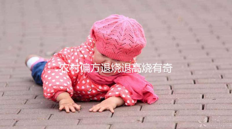 農(nóng)村偏方退燒退高燒有奇效，路邊常見退燒草別還不認(rèn)識(shí)