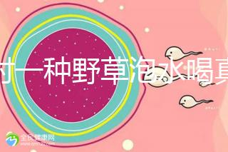 農村一種野草泡水喝真能治便秘！配合這九種中草藥效果更好