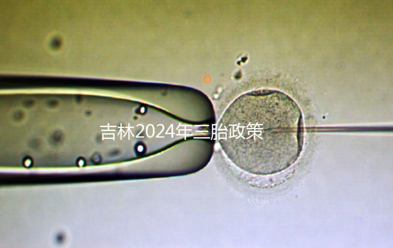 吉林2024年三胎政策最新消息分析，二道、綠園三孩規(guī)定出爐