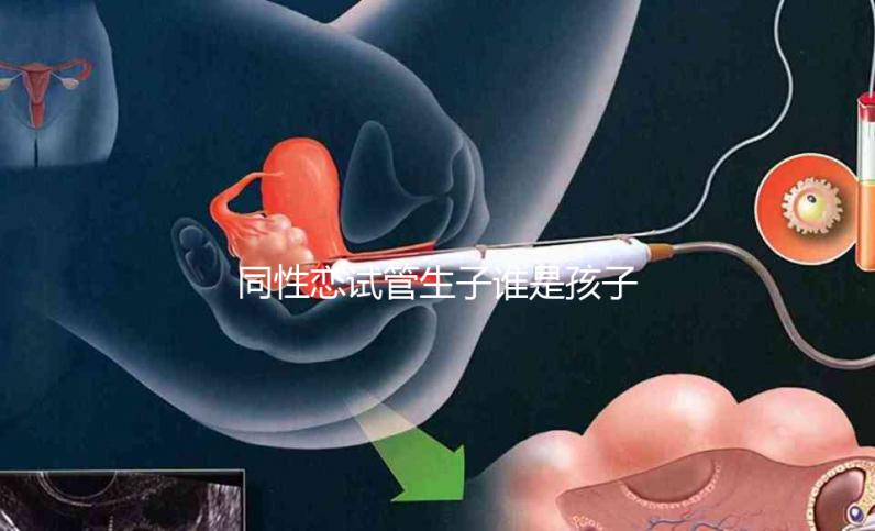 同性戀試管生子誰是孩子爸惹爭議！血緣關系竟成迷