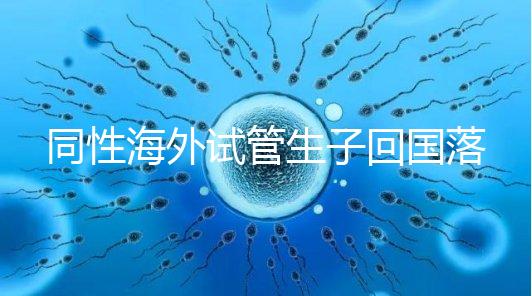 同性海外試管生子回國(guó)落戶(hù)講方法，男同上戶(hù)過(guò)程更復(fù)雜