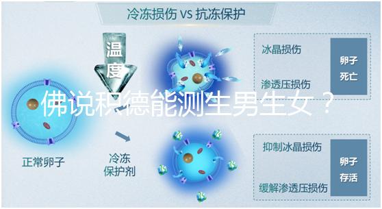 佛說(shuō)積德能測(cè)生男生女？60秒說(shuō)清楚胎兒性別是否天注定