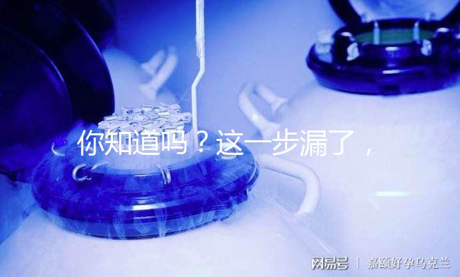你知道嗎？這一步漏了，赴美國做試管嬰兒有簽證也走不了