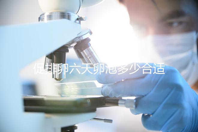 促排卵六天卵泡多少合適的人，年齡小，卵巢好7毫米也正常