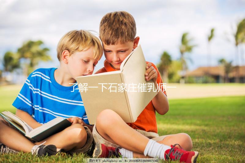 了解一下石家莊催乳師一次要多少錢，2024找到合適的公司是關(guān)鍵