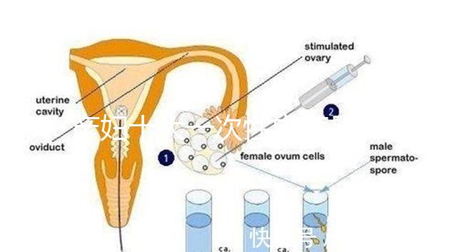 產婦十大一次性內褲品牌排行揭曉，全棉時代質量如何看這