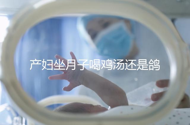 產婦坐月子喝雞湯還是鴿子湯？3個方面對比分析