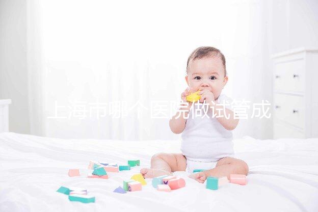 上海市哪個醫(yī)院做試管成功率高最好的？