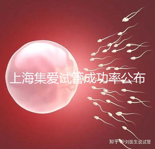 上海集愛試管成功率公布，排名輕松進入全國前二十！