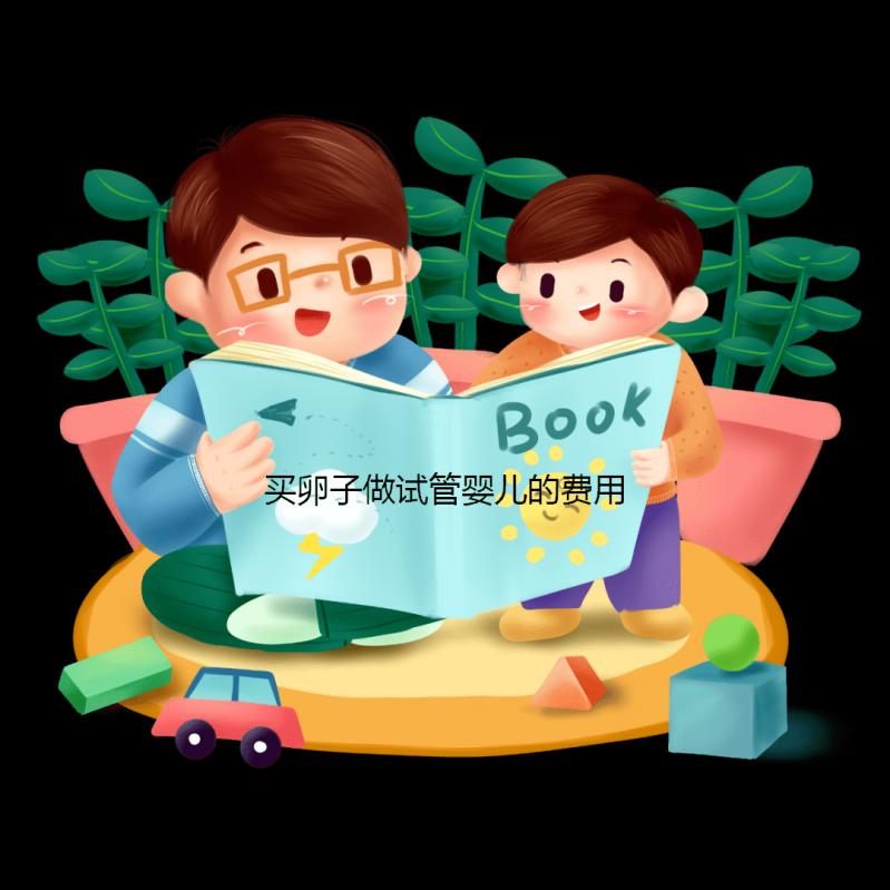 買卵子做試管嬰兒的費用