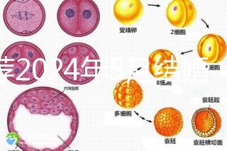 推薦2024年5月結(jié)婚的良辰吉日，最吉利的要數(shù)…