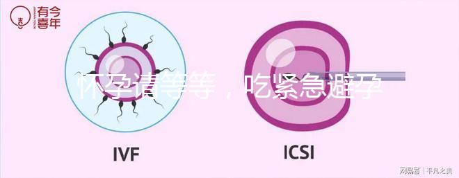 懷孕請等等，吃緊急避孕藥多久能有性生活看專家怎么說