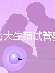 提升山大生殖試管嬰兒成功率，“老司機”送你這4招！