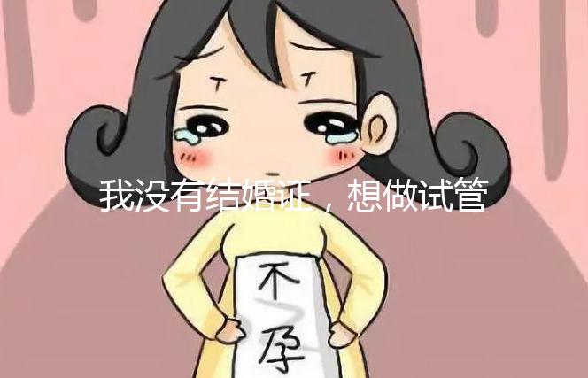 我沒有結婚證，想做試管嬰兒，可以做嗎？