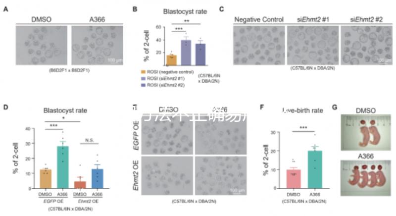 服用方法不正確易產生不良反應？利維愛的副作用解析
