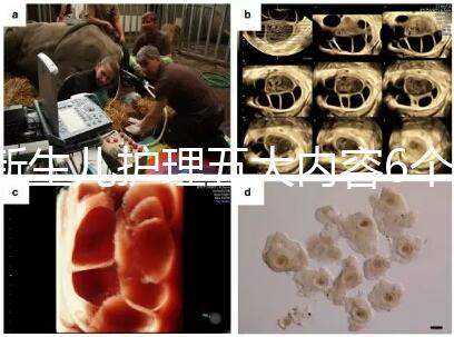 新生兒護(hù)理五大內(nèi)容6個要點整理，嬰兒養(yǎng)育照護(hù)干貨來了