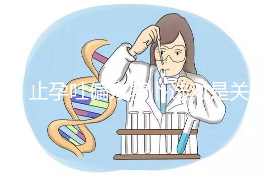 止孕吐偏方蘿卜選對是關鍵，懷孕初期生吃or煲湯功效不同