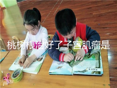 桃樹根治好了子宮肌瘤是謠言？和豬肉一起吃效果真不賴