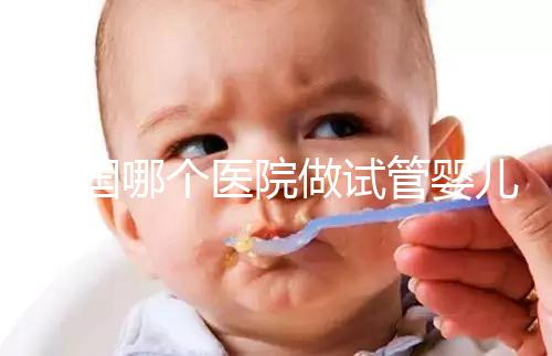 泰國哪個醫(yī)院做試管嬰兒比較厲害？全面解析與推薦