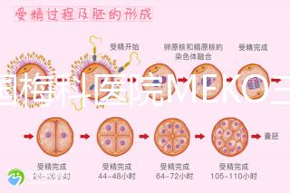 泰國梅科醫院MEKO三代試管嬰兒,不靠中介翻譯安心好孕