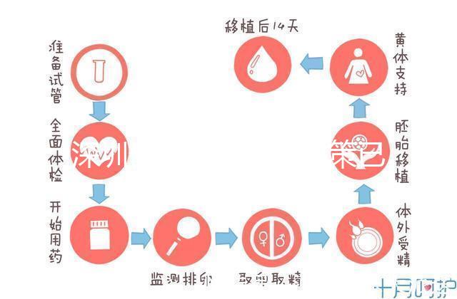 深圳最新獨生子女政策已出爐，羅湖、南山區(qū)補貼金均有提高