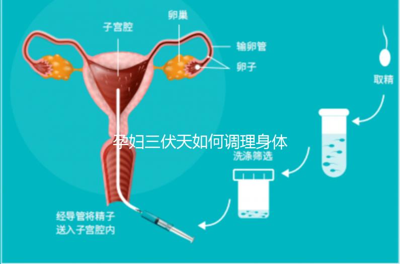 孕婦三伏天如何調理身體看這，專家：不建議曬太陽補鈣