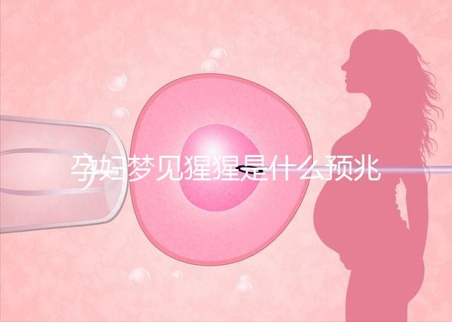 孕婦夢見猩猩是什么預兆？帶你了解相關胎夢解讀