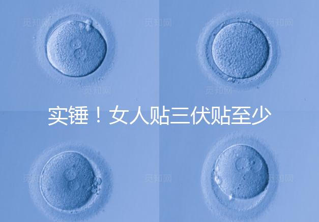 實(shí)錘！女人貼三伏貼至少有這6點(diǎn)好處，提高免疫力是其一