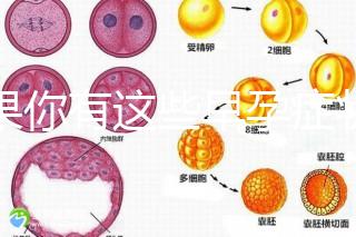 如果你有這些早孕癥狀，那恭喜試管嬰兒成功懷上啦
