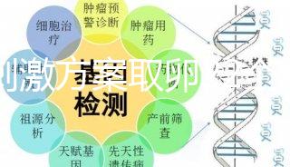 微刺激方案取卵22個(gè)移植成功率大揭秘,首先看能成多少囊胚