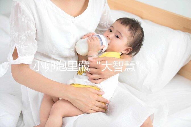 小卵泡里藏“大智慧”！這些冷知識也該知道了