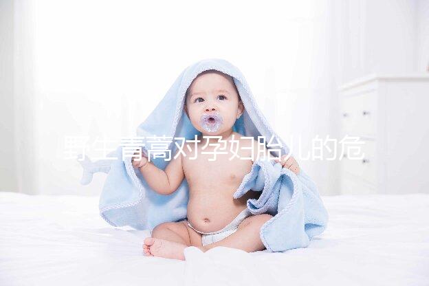 野生青蒿對(duì)孕婦胎兒的危害多,能否泡腳、洗澡看這里