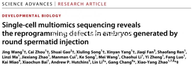 阿嬌自曝35歲已完成冷凍卵子，為何明星都選擇凍卵？